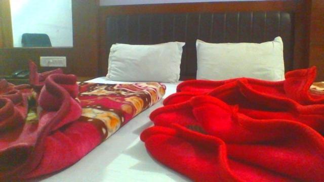מלון ניו דלהי Sahara International Deluxe חדר תמונה
